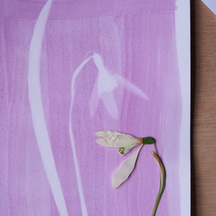 L'Atelier des Epatants - Wholesale Doe-het-zelf-knutselset - Mini-kit rosatype: zoals cyanotype maar in roze!2