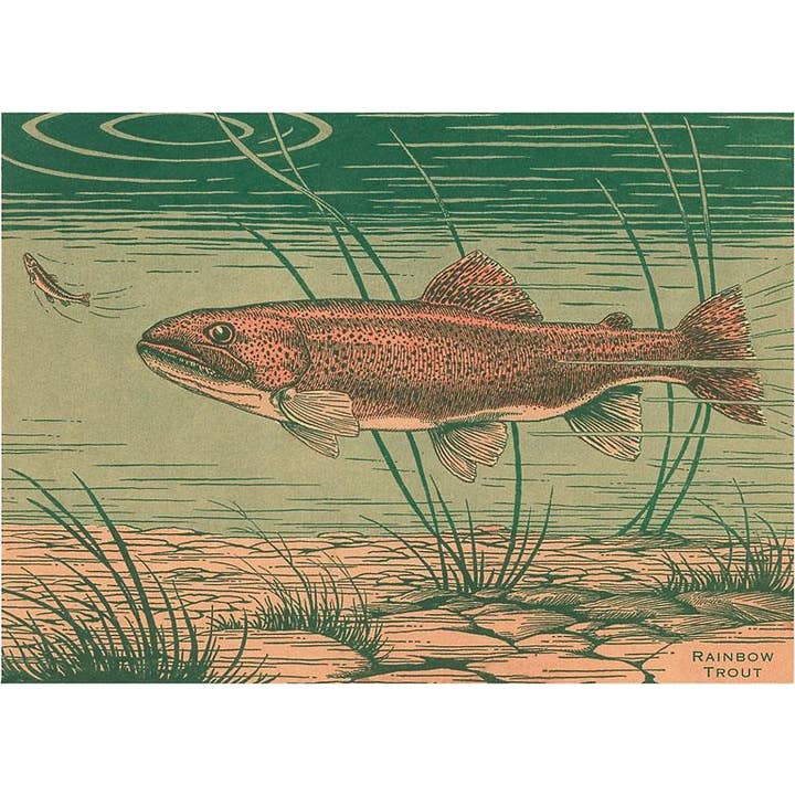 Postcard WD-11 Woodcut of Rainbow Trout for wholesale by Found Image Press