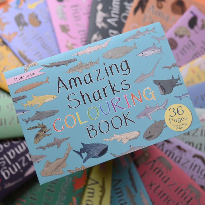 Amazing Sharks Colouring Book for wholesale by Button & Squirt