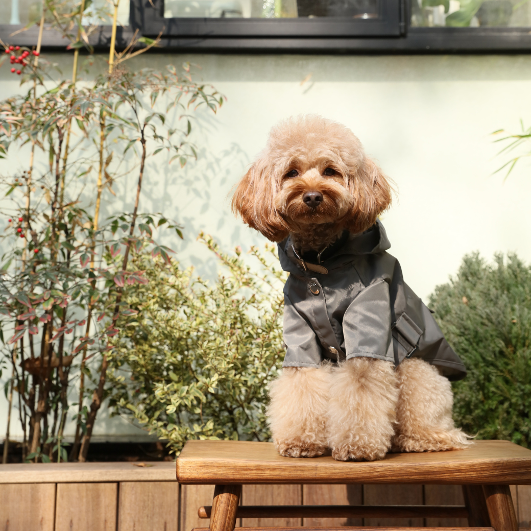 PEHOM - Vendita all'ingrosso Impermeabile - Cani - IMPERMEABILE BOWERY - GRIGIO6