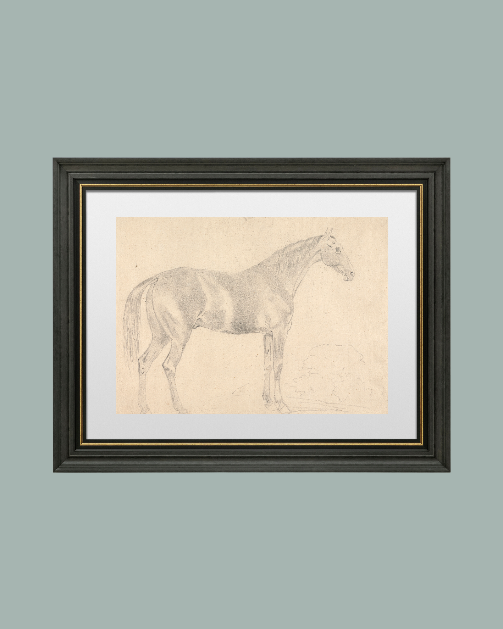 Sea to Skye - Wholesale Art Print - A Horse Facing Right Sketch Antique Art Print5