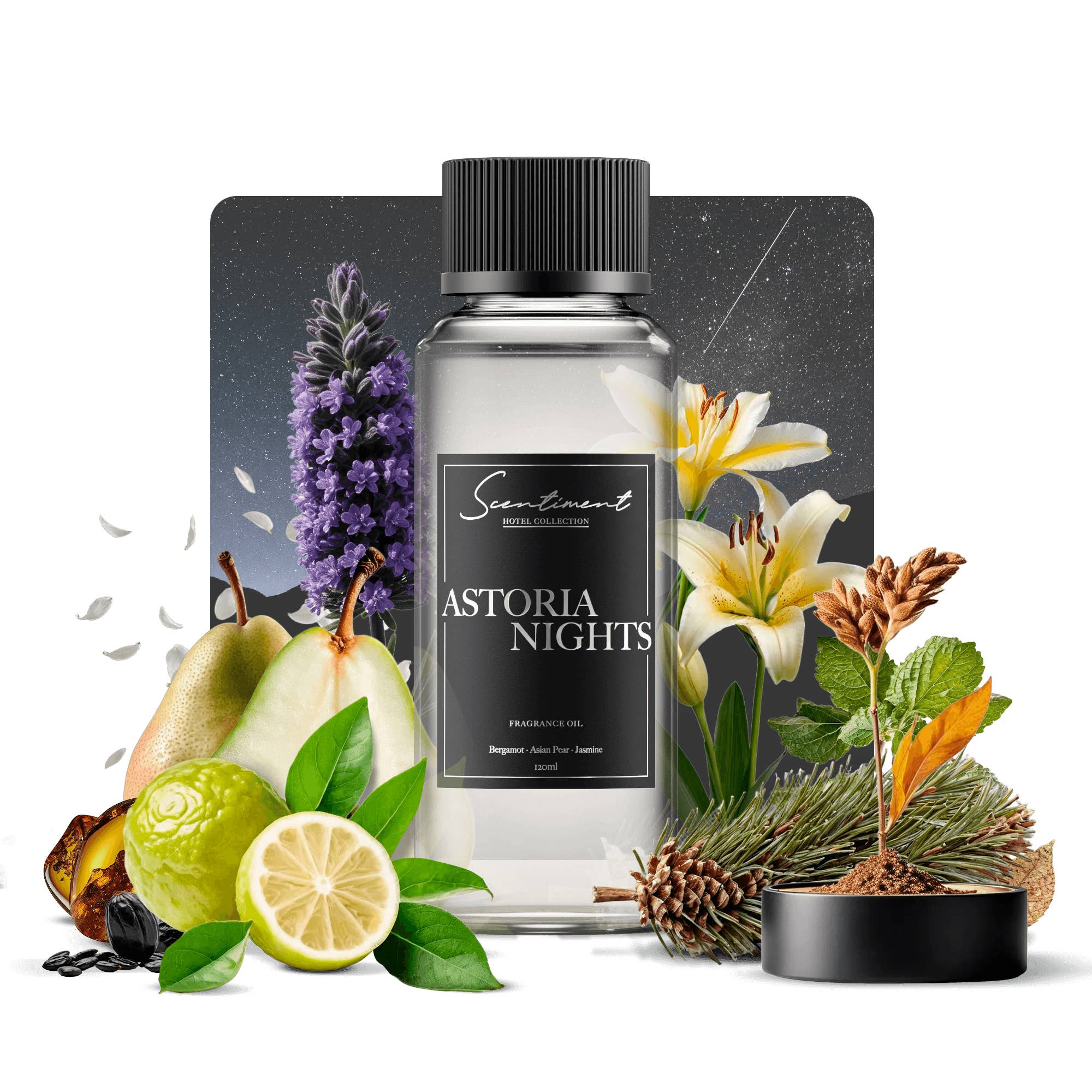 Scentiment - Wholesale Fragrance Oil - Astoria Nights ✨