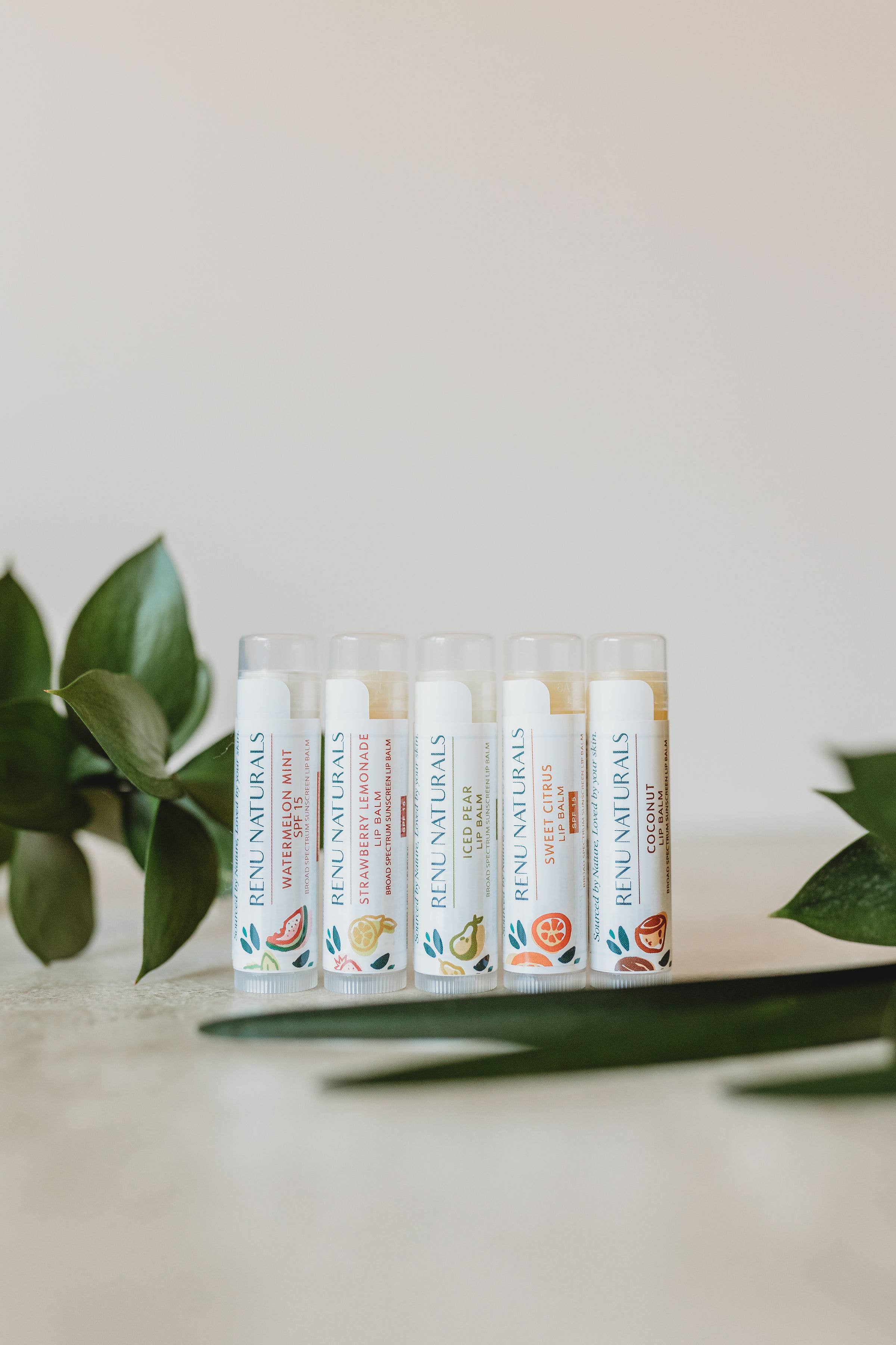 Renu Naturals - Wholesale Lip Balm Set - Mix Box of Organic Lip Balms SPF & NON-SPF2