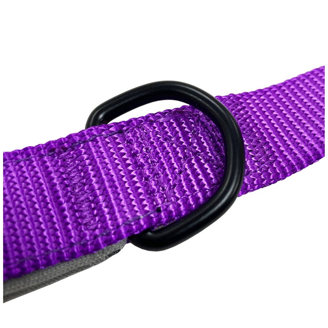 HugglePets – wholesale Pet leash – Dog – HugglePets Padded Nylon Dog Lead11