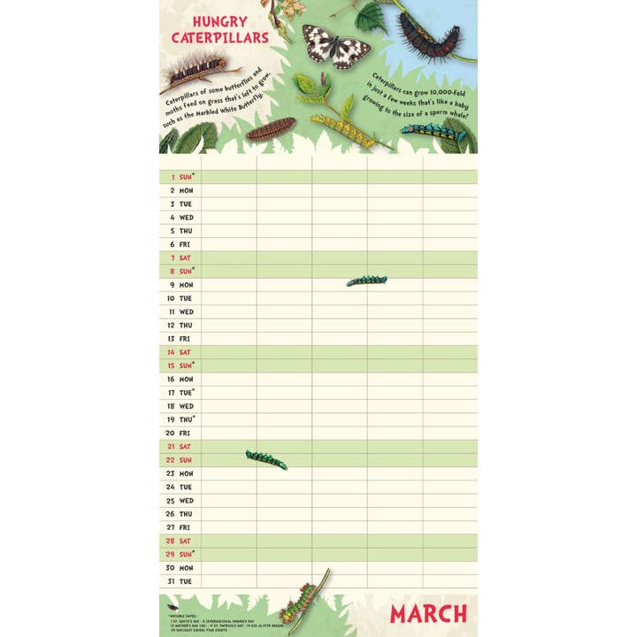 Danilo Promotions Ltd – wholesale Calendar – RHS 2026 FAMILY ORGANISER CALENDAR (WITH POCKET AND STICKERS)1