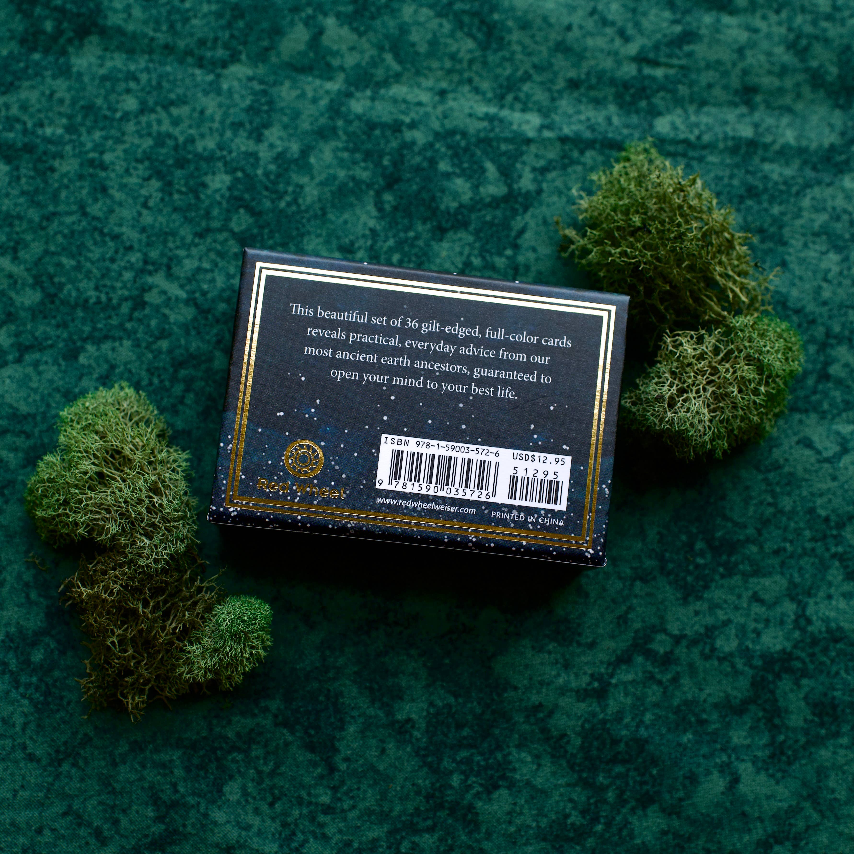 Red Wheel/Weiser LLC - Wholesale Tarot Cards - Mushrooms: Daily Doses of Wisdom (36 Gilt-Edged Mini Cards)5