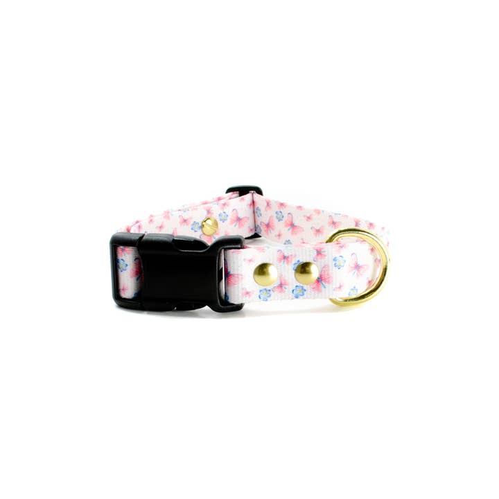 Mae - Dog Collar for wholesale by PawTies