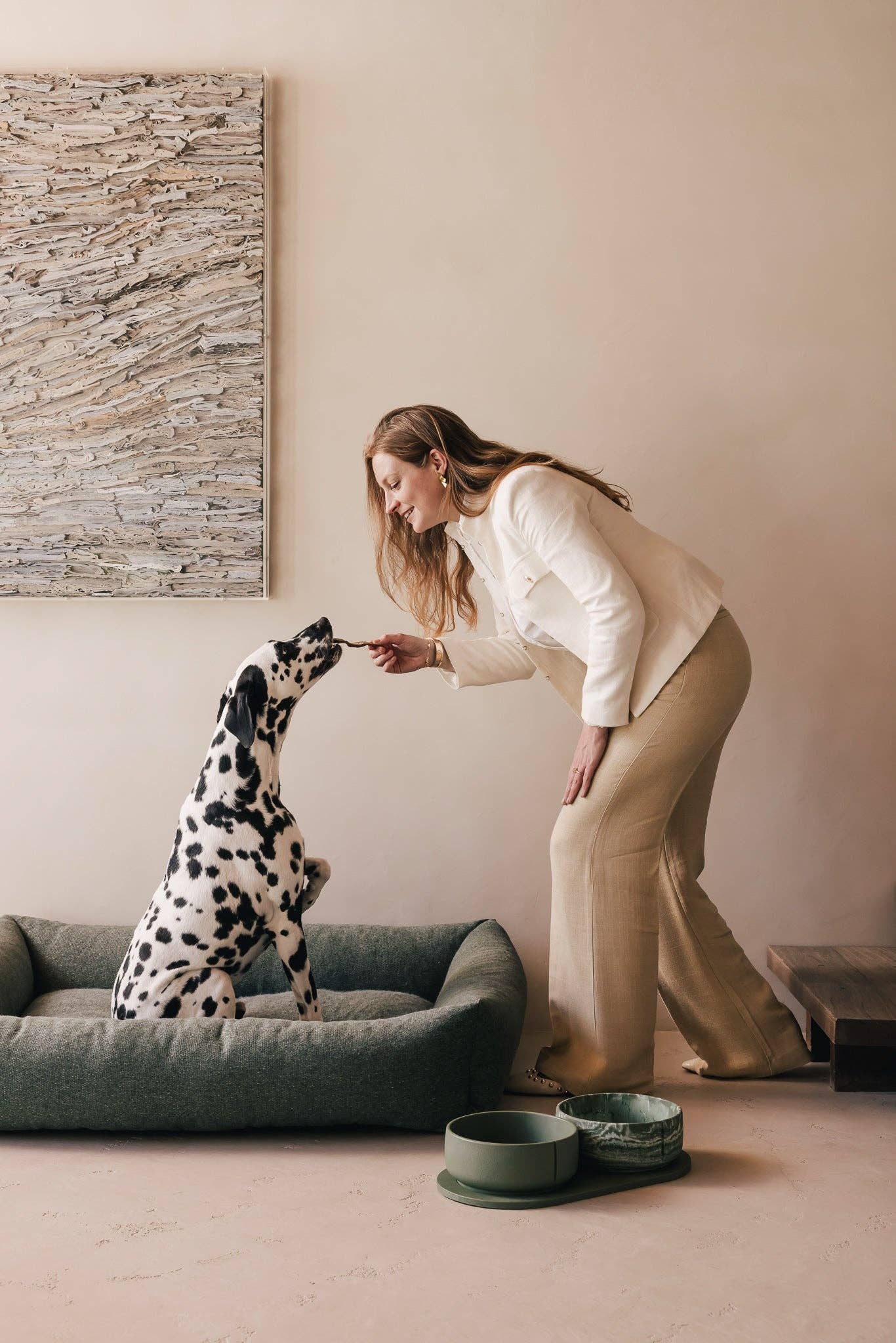 PINO – Engroshandel Kæledyrsskål – Hund – Klassisk skål22