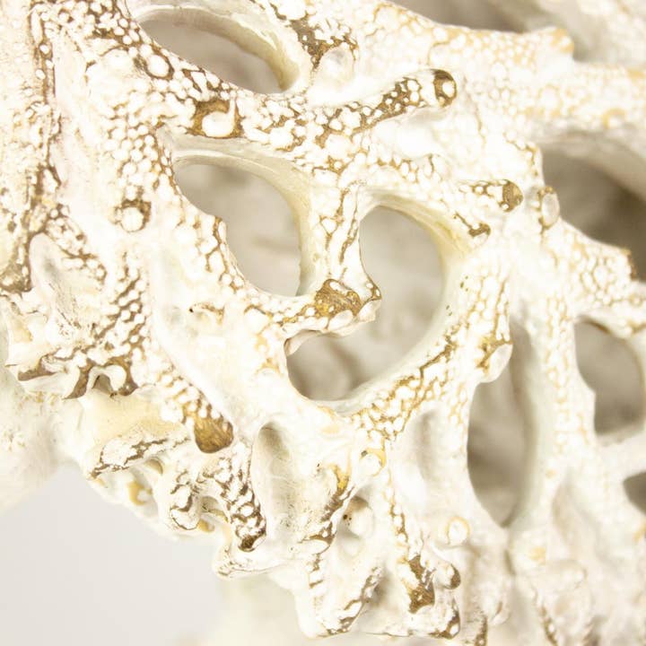 Nauticalia – wholesale Ornament – Coral Creatures - Turtle, 26cm5