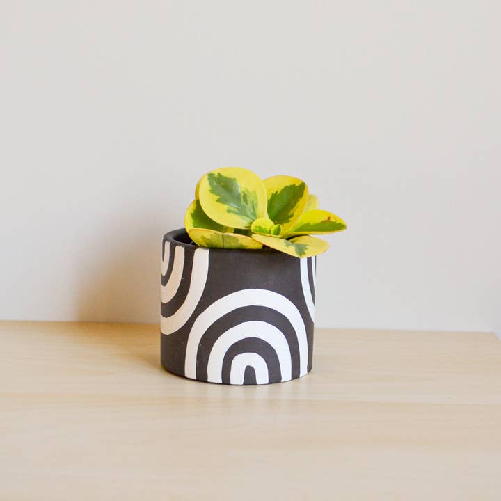 LindaMakess - Vendita all'ingrosso Vasi per piante - Fioriera arcobaleno dipinta a mano | Più colori3