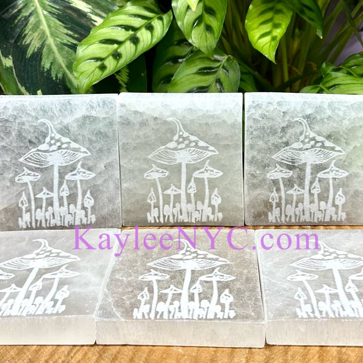 Natural Selenite Satin Spar Mushroom Charging Plate for wholesale by KayleeNYC