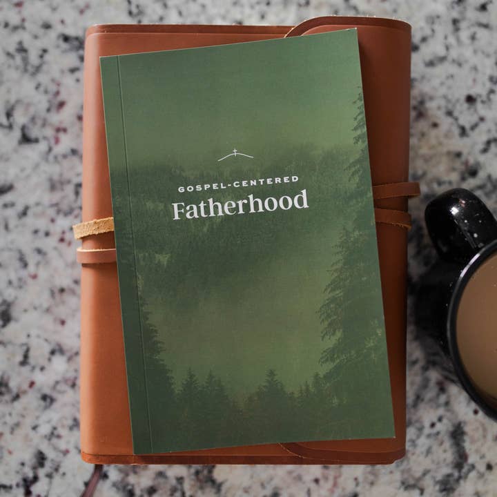 The Daily Grace Co - Wholesale Religion - Gospel-Centered Fatherhood1