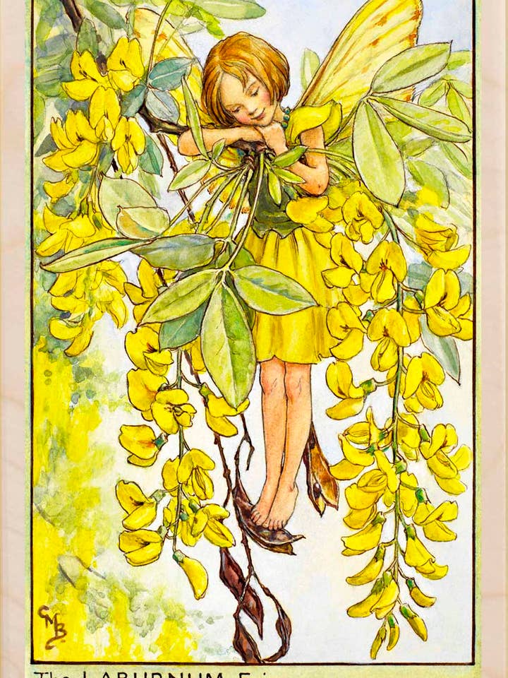 Laburnum Fairy - Eco-friendly cards & magnets for wholesale by THE WOODEN POSTCARD COMPANY
