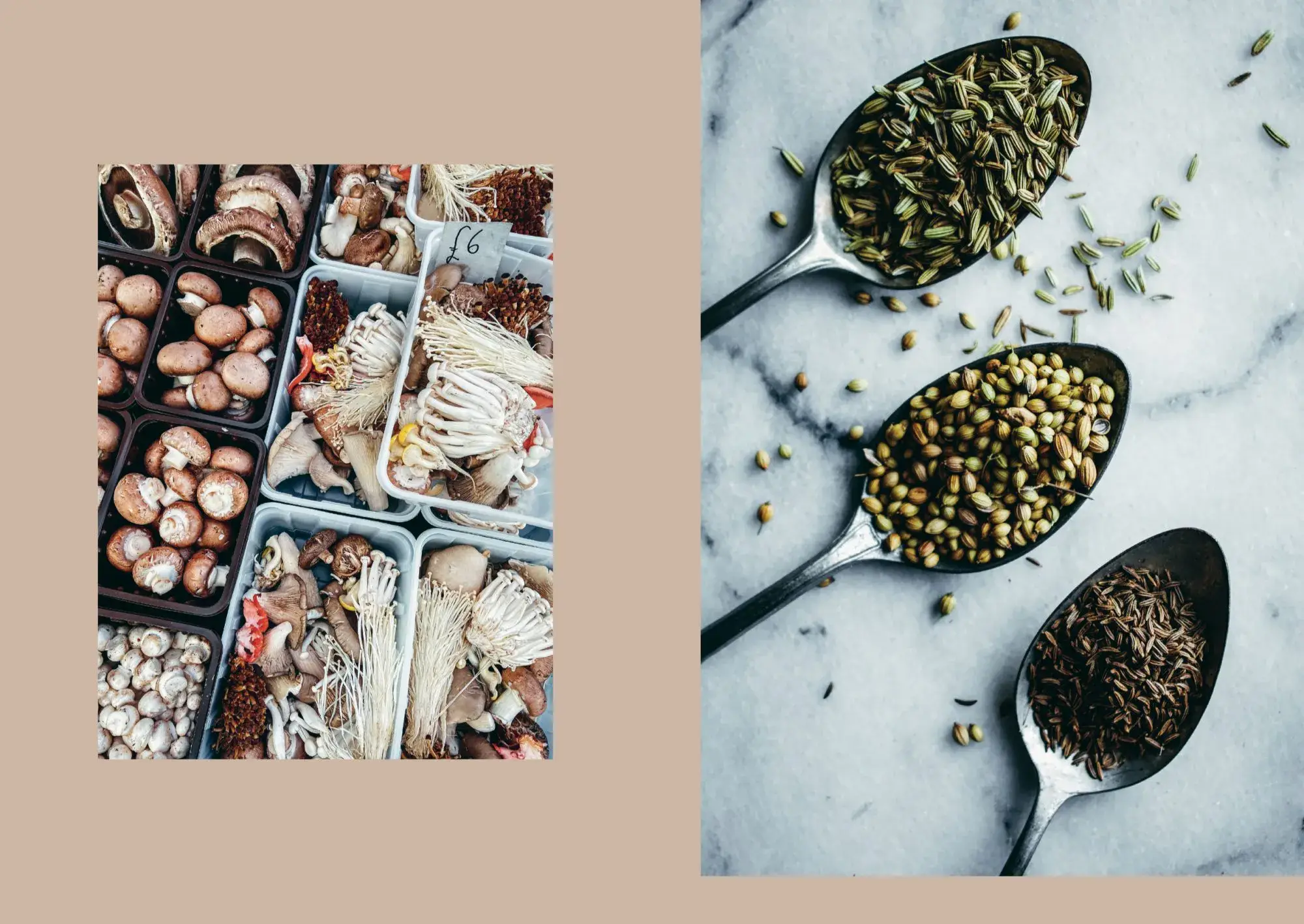 Cozy Publishing - Vente Cuisine et gastronomie - Légumes, tous les jours de la semaine9