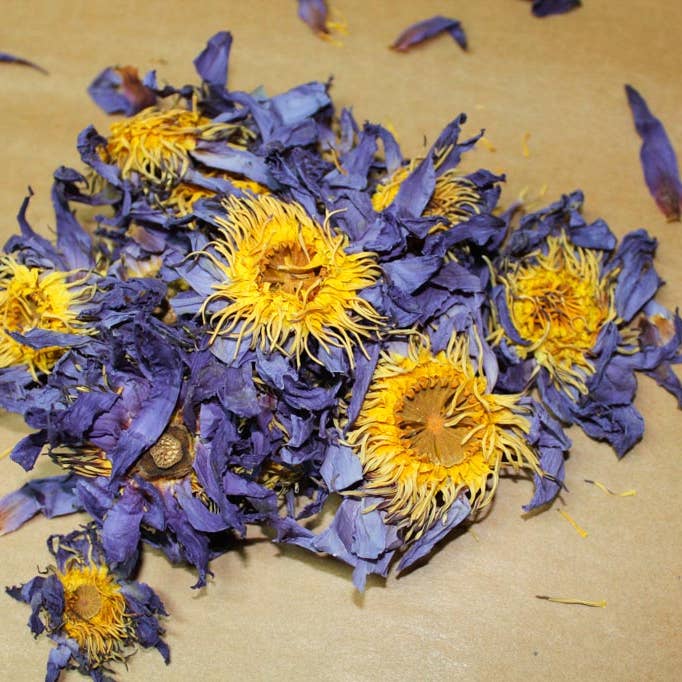 Healing Herbals - Wholesale Loose Tea - Lotus Loose Leaf Tea0