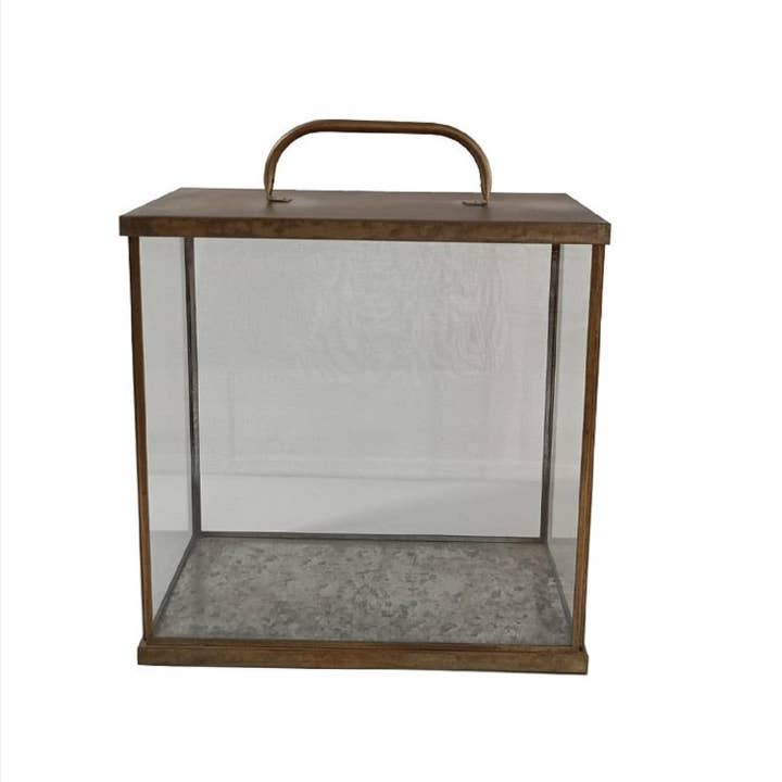 Terrarium Lantern Iron & Glass Aged Antique H 11.4" for wholesale on Faire