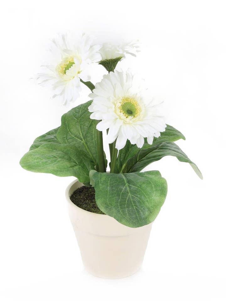 Artificial 1ft White Gerbera Plant for wholesale by Closer2Nature