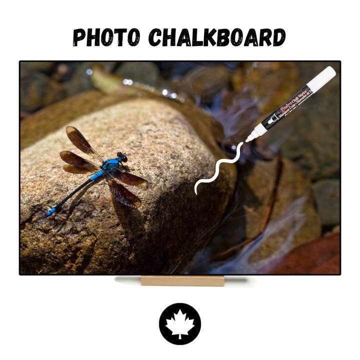 Dragonfly - Jeannie B Photo Chalkboard for wholesale by JEANNIE B