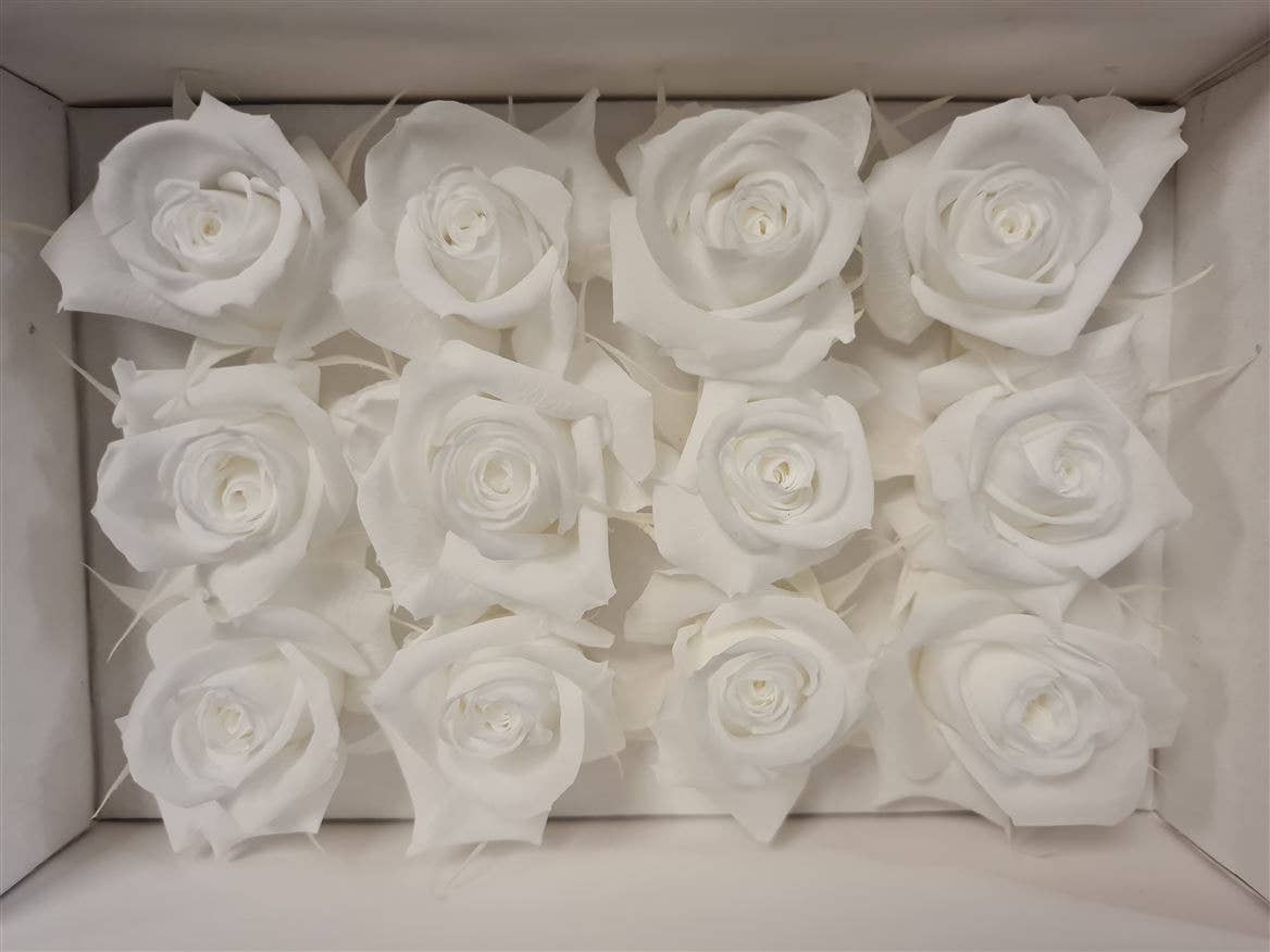 Dutch Flower Studio - Wholesale Artificial Flowers - 🌸 Preserved Roses - 10 colors - Decoration - Flowers - 4 cm5