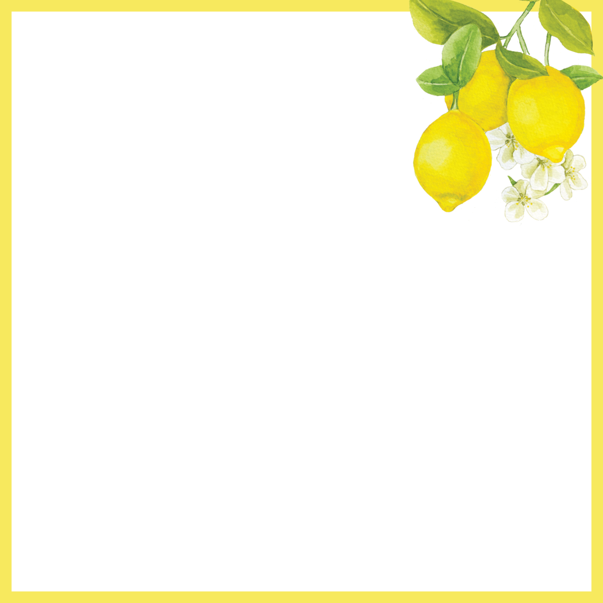 Peter Pauper Press, inc. – wholesale Stationery/notecard set – Amalfi Lemons Desk Notes2