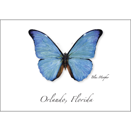 Earth Sky + Water - Wholesale Everyday Greeting Card - Blue Morpho Butterfly0