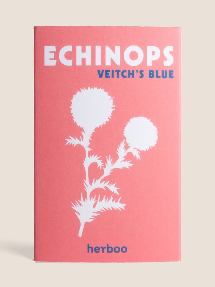 Echinops 'Veitch's Blue' Seeds for wholesale by Herboo