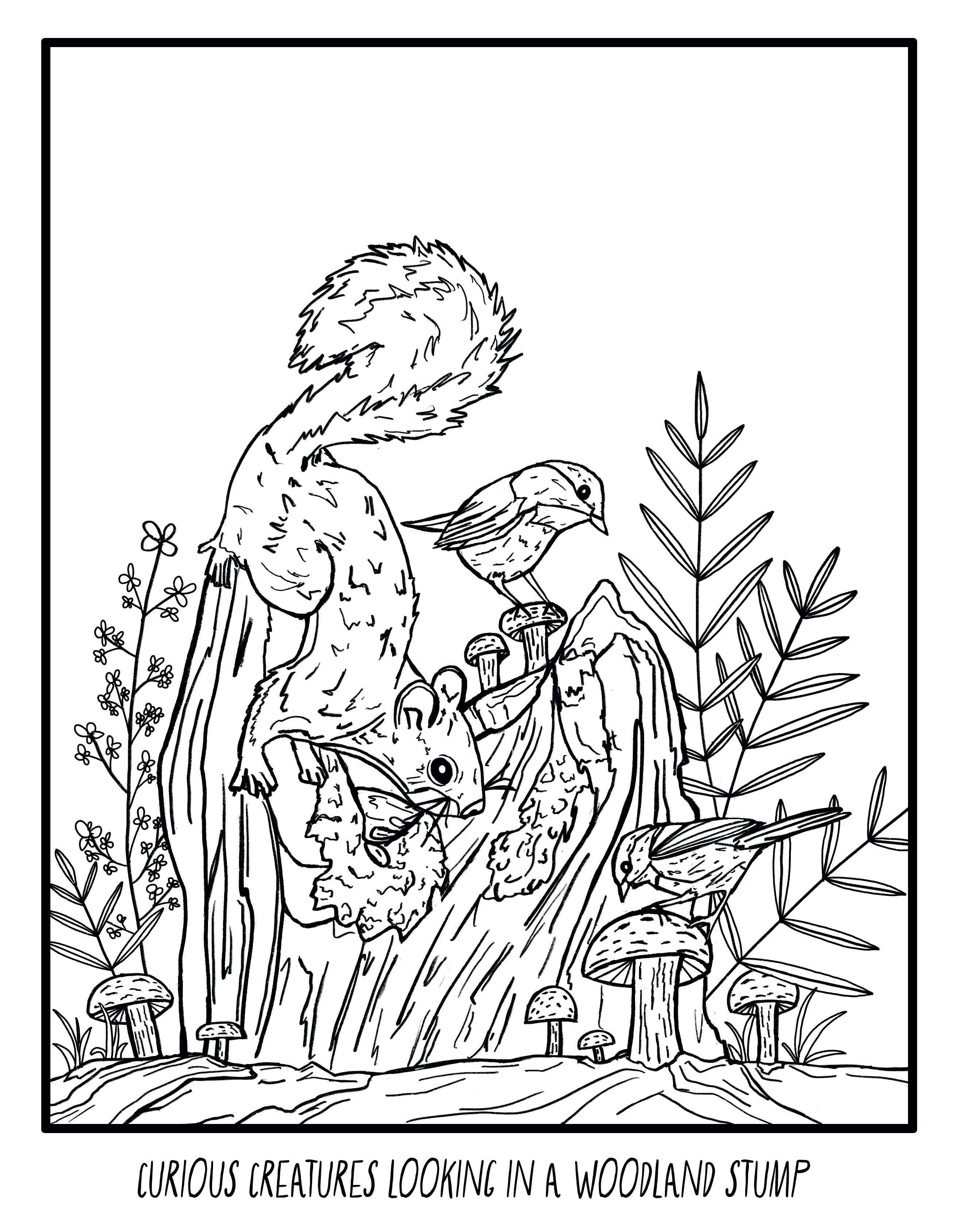 bclockerart - Wholesale Coloring & Activity Book - Kids & Baby - Forest Friends Coloring book6