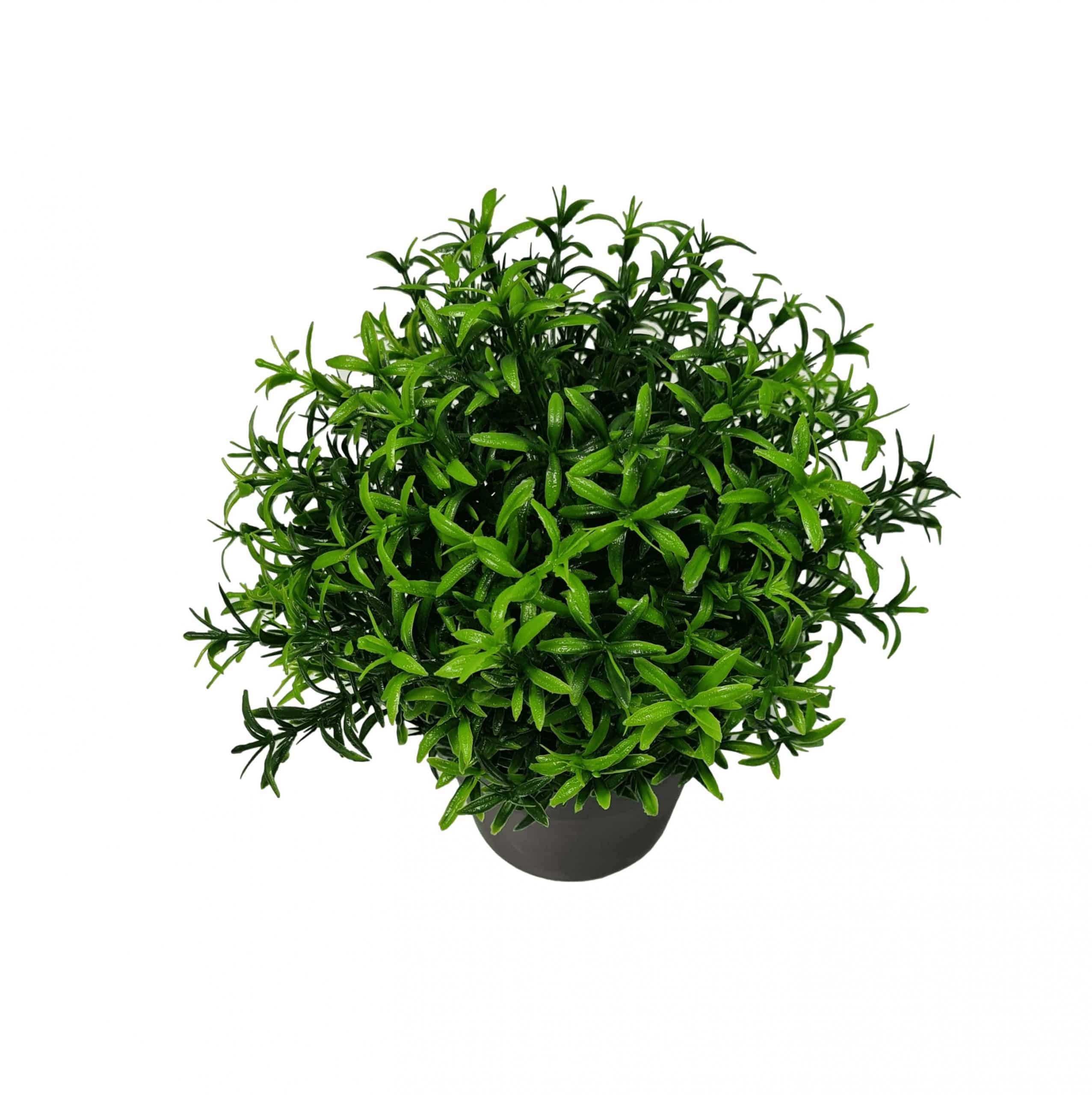 Designer Plants AU - Wholesale Artificial Plant - Small Potted Artificial Bright Rosemary Herb Plant UV Resistant 20cm1