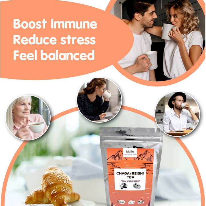 Baikal Tea - Venta al por mayor Tés saludables/desintoxicantes - Chaga + Reishi