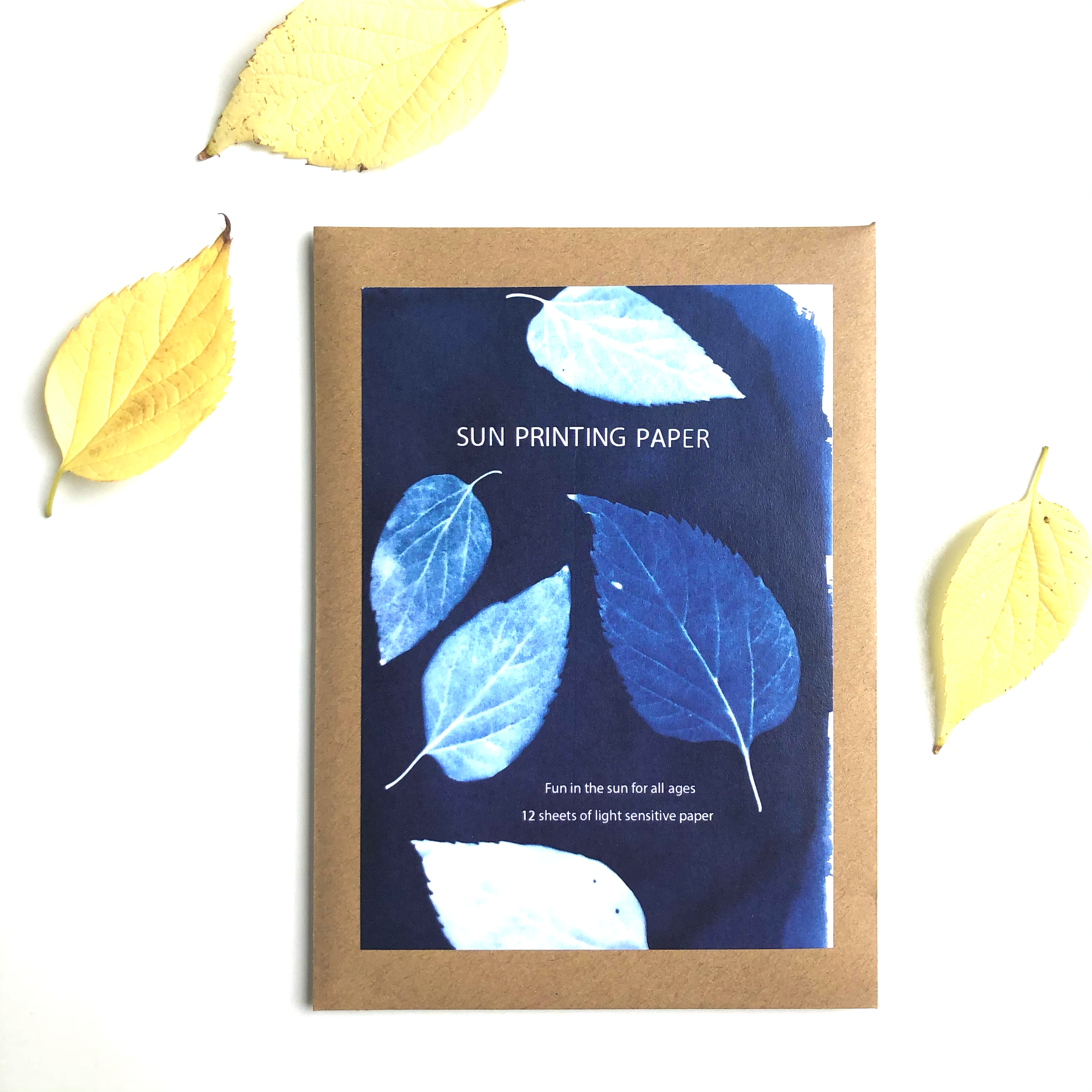 My Little Print Studio - Wholesale DIY Craft Kit - Sun Printing Paper9