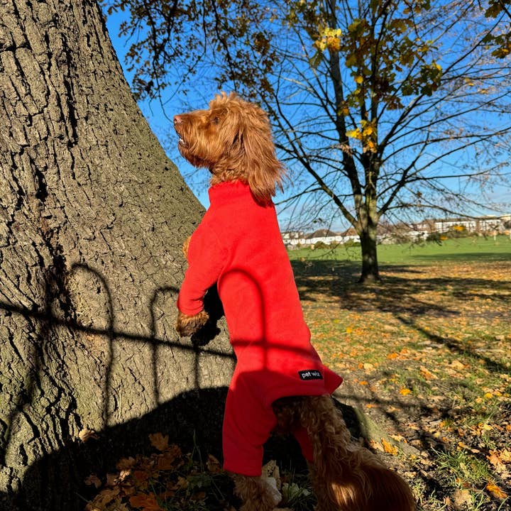 Pet Wiz – wholesale Pet jumper – Dog – Four Legged Dog Fleeces - Wide Range of Sizes & Colours
