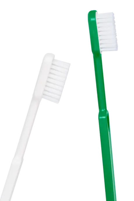 CALIQUO - Wholesale Toothbrush - 2 toothbrushes - 1 brush FREE1