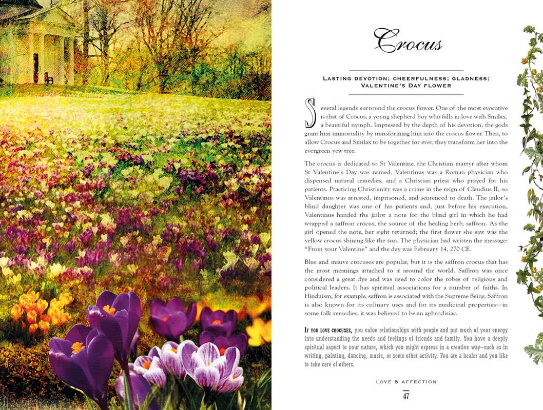 Simon & Schuster - Wholesale Nature & Outdoors - Secret Language of Flowers by Samantha Gray2