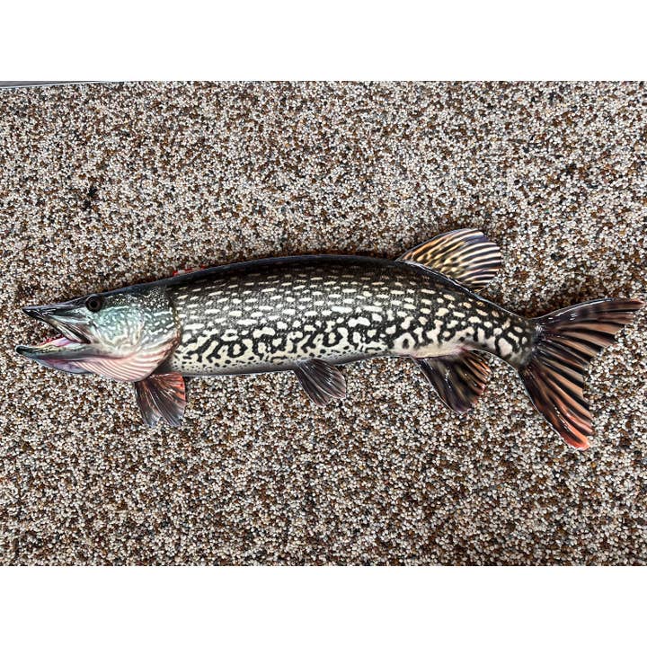 Reelistic Replicas - Wholesale Wall Accent - Northern Pike Replica - Metal, Realistic Northern Replica