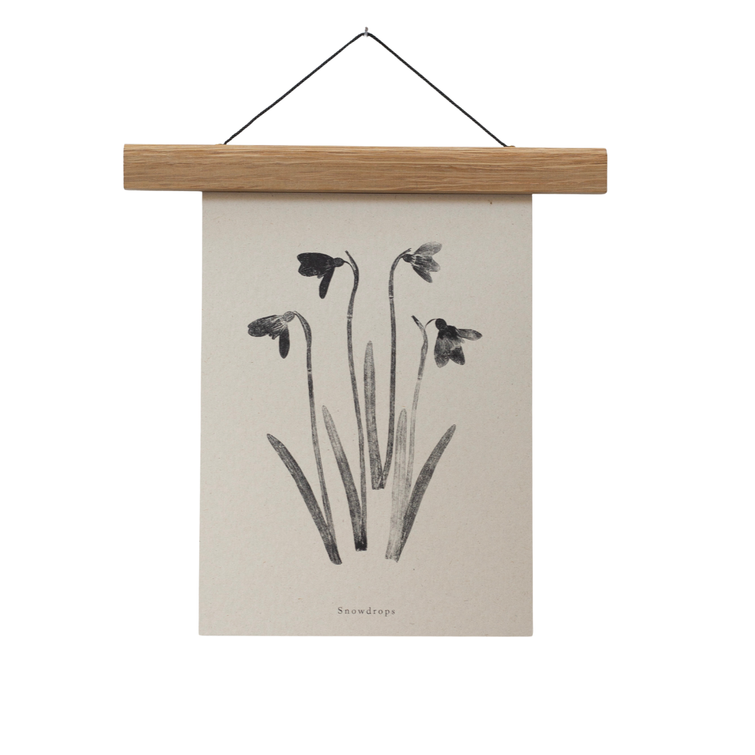 Alicia Breakspear - Wholesale Art Print - Botanical Art Print A5 A4 A3 Snowdrops Flower 7