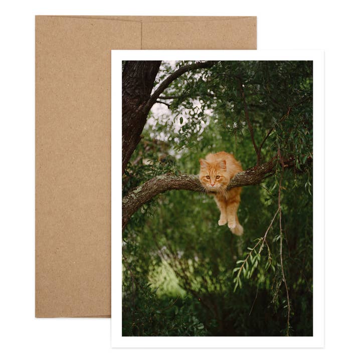 Hang In There Cat for wholesale by Salty Dog Publishing