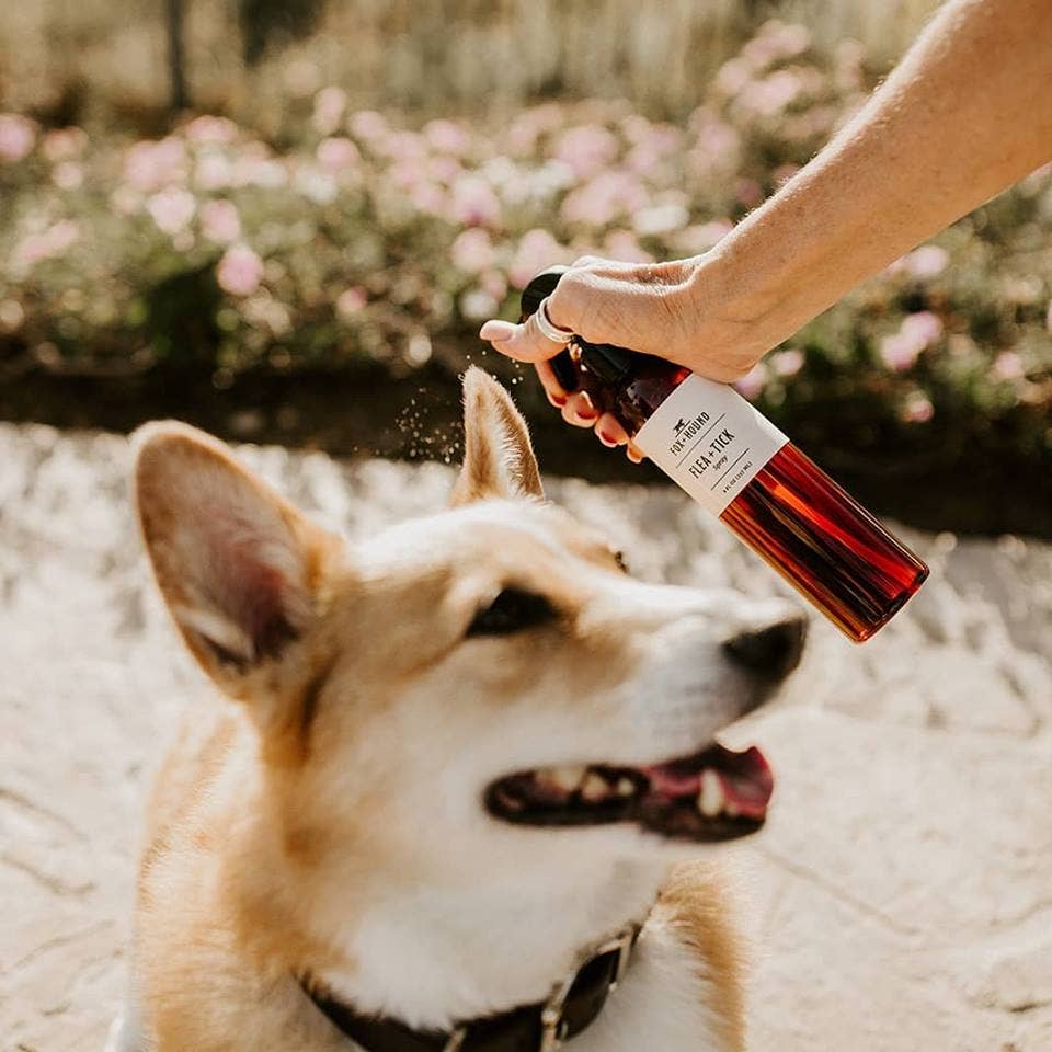 Fox + Hound - Wholesale Pet Spray - Dog - FLEA + TICK SPRAY FOR DOGS, NATURAL BUG REPELLENT SPRAY6