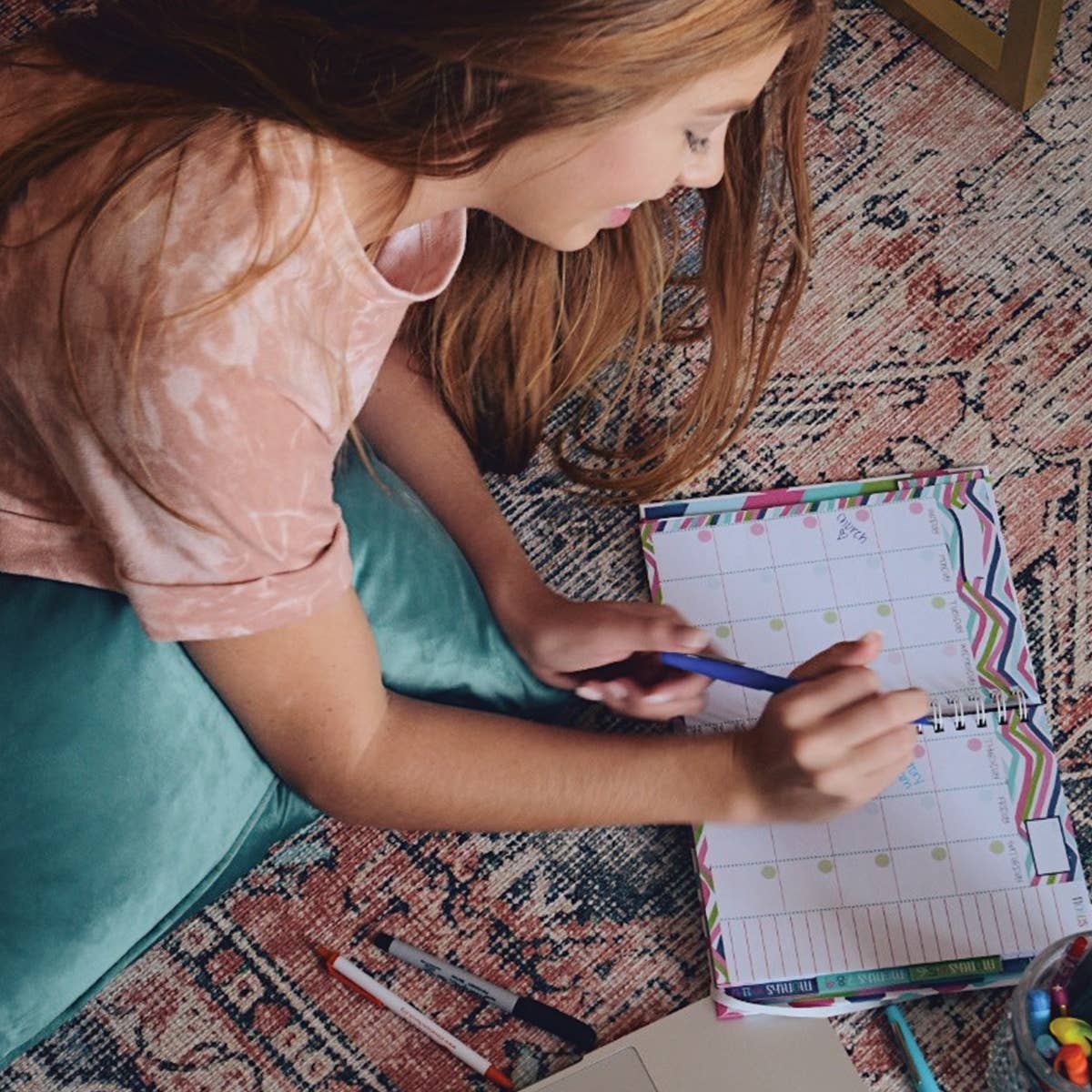 Denise Albright® - Wholesale Planner - Budget Binder™ Bill Tracker Financial Planner | Pack of 67