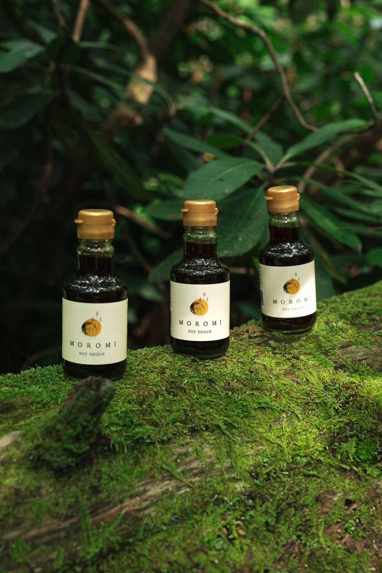 Moromi - Wholesale Sauce - Organic Non-GMO Soy Sauce3