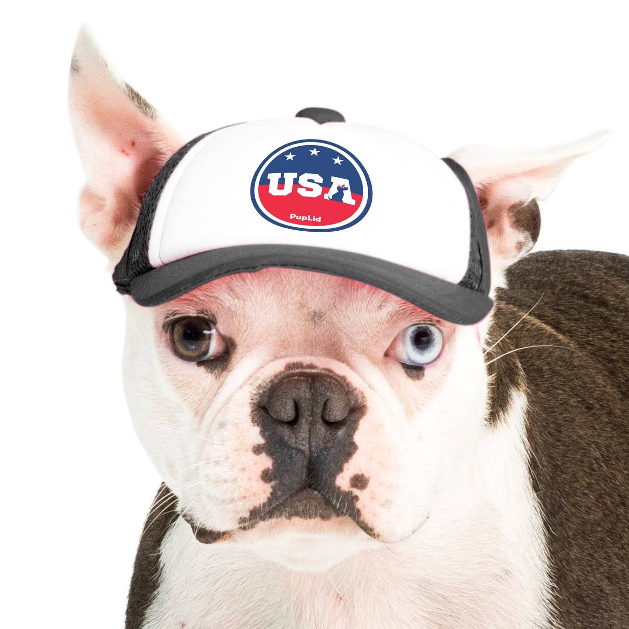 PupLid – wholesale Hatt - Hund – USA Stars Design l Truckerhatt för hundar17