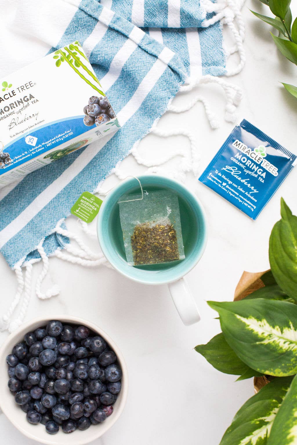 Miracle Tree – wholesale Hälsoté/Detoxté – Ekologiskt Moringa Te: Blåbär6