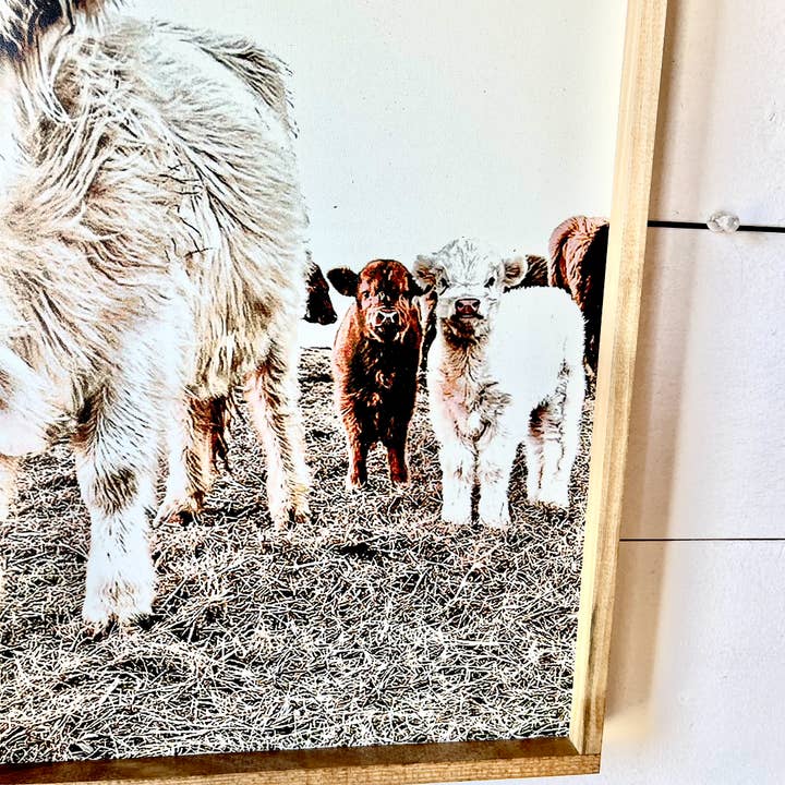 Simply Stained Shop - Wholesale Sign - Denarys and calves Black White Highland Cow1