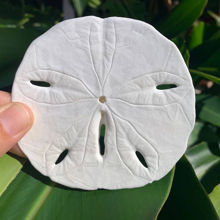 Copper Moon Crystals – Großhandel Tischdeko – Sand-Dollar