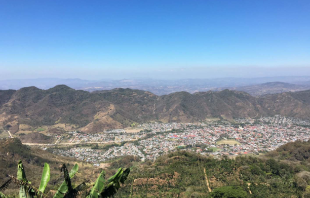 Red Rooster Coffee Roaster - Wholesale Coffee Beans - Organic Nicaragua Dark Roast - Coffee Beans5