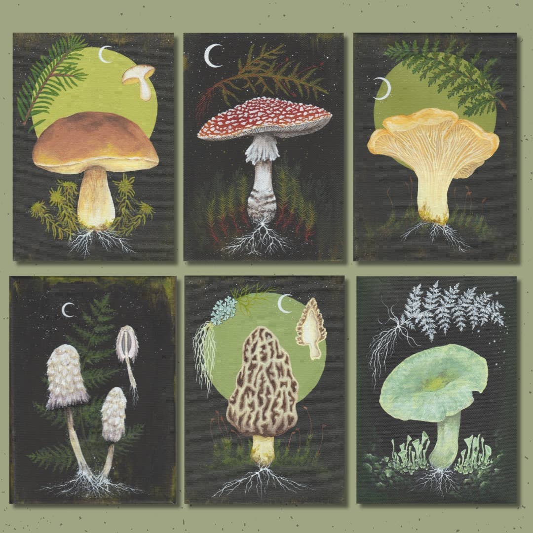 Up Moss Creek Studio - Wholesale Postcard Set - Dark Mycology Postcard Set (6)5