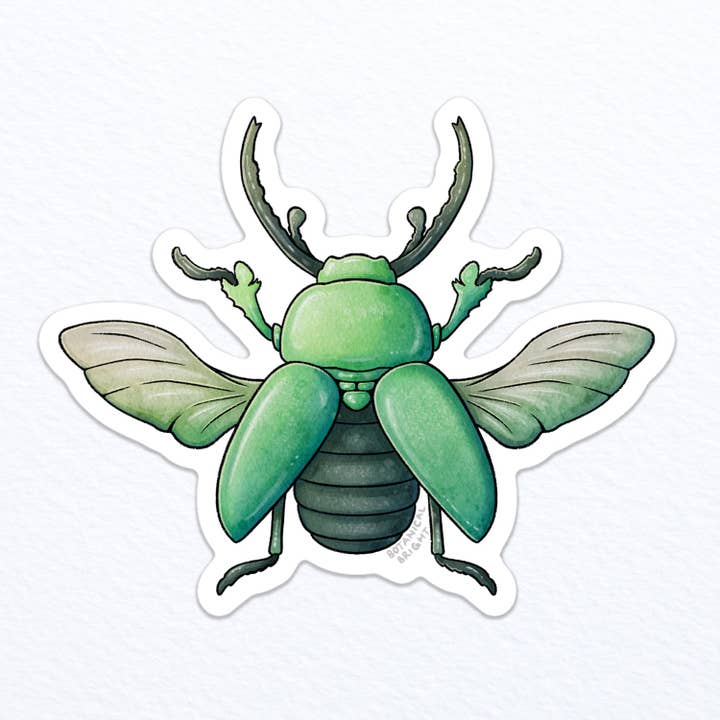 Beetle Waterproof Vinyl Sticker for wholesale by Botanical Bright