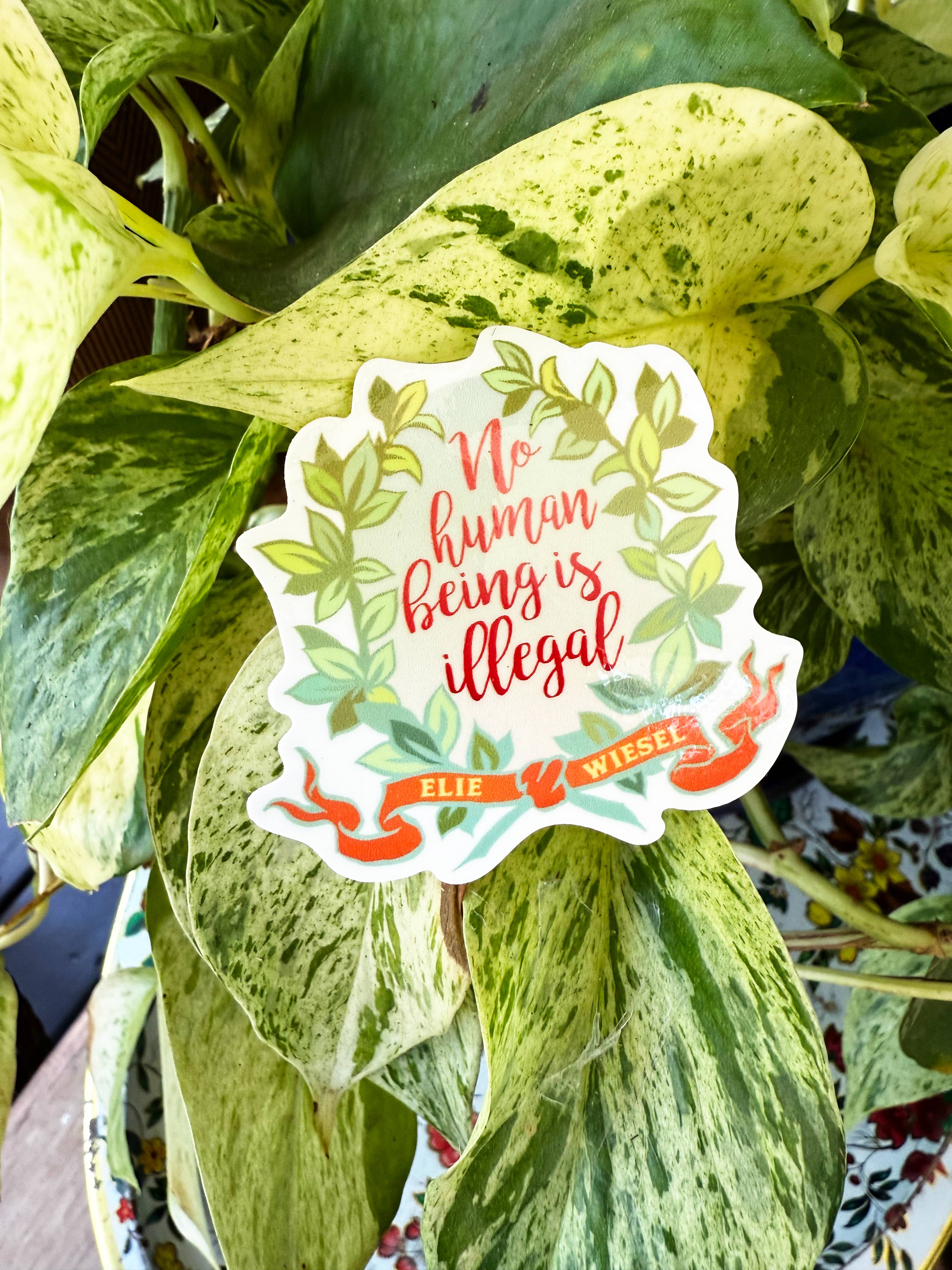 Fabulously Feminist - Wholesale Sticker - No Human Being Is Illegal: Feminist Sticker5