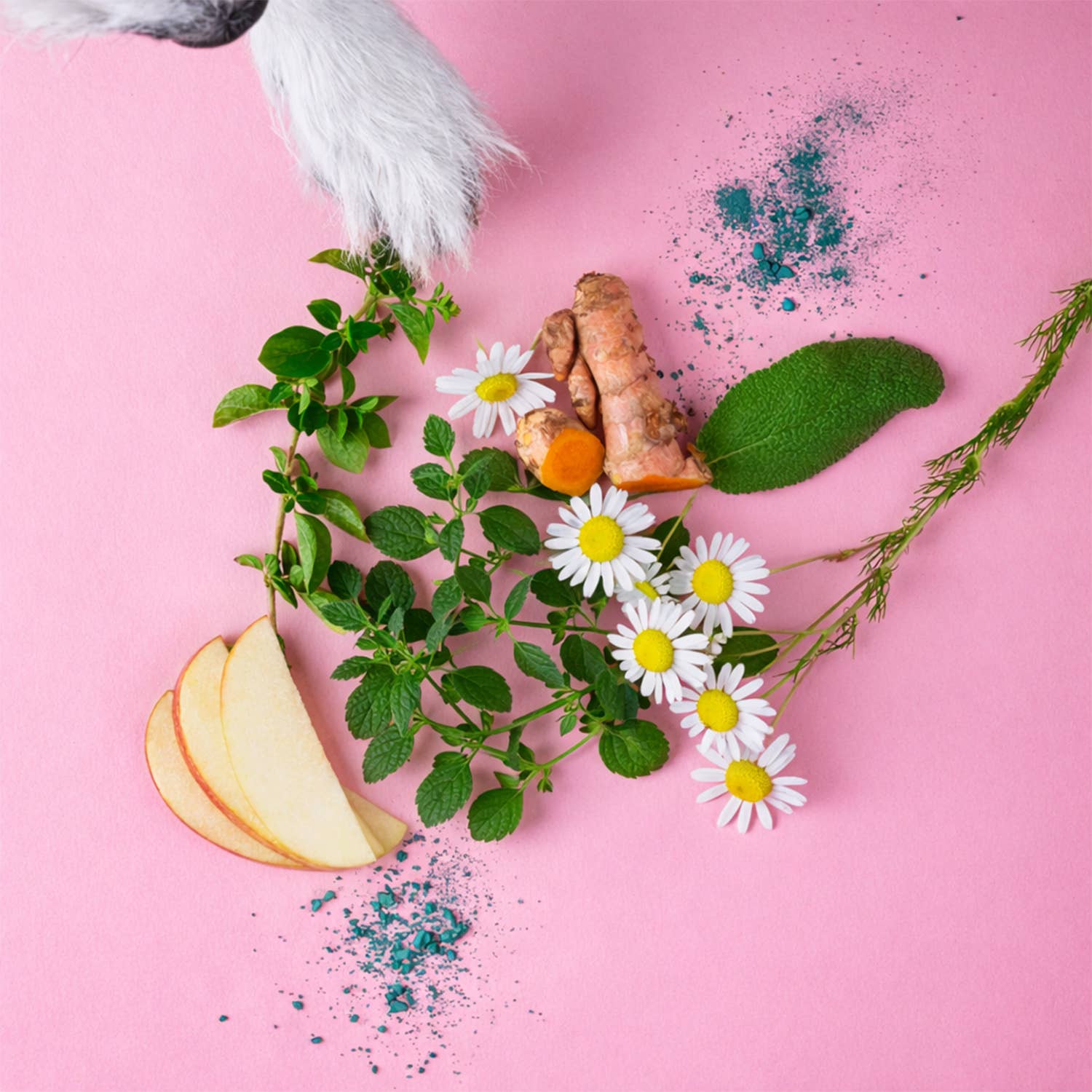 Animagus GmbH – wholesale Pet treats – Dog – Tooth Fairy Sticks - supplement snack for dogs2