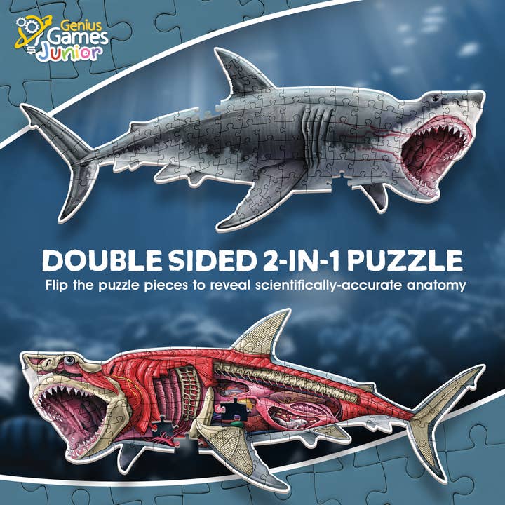 Genius Games - Wholesale Puzzle - Kids - Turn N Learn: Shark Puzzle3