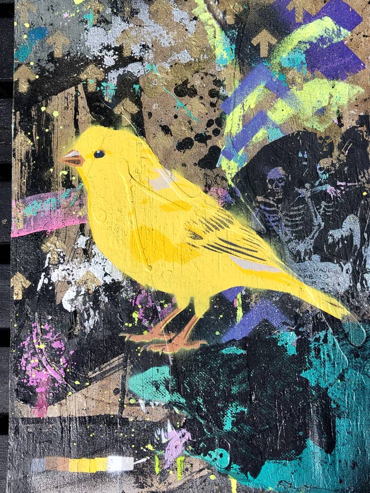 Canary, Above Ground for wholesale by Bell's Galleries